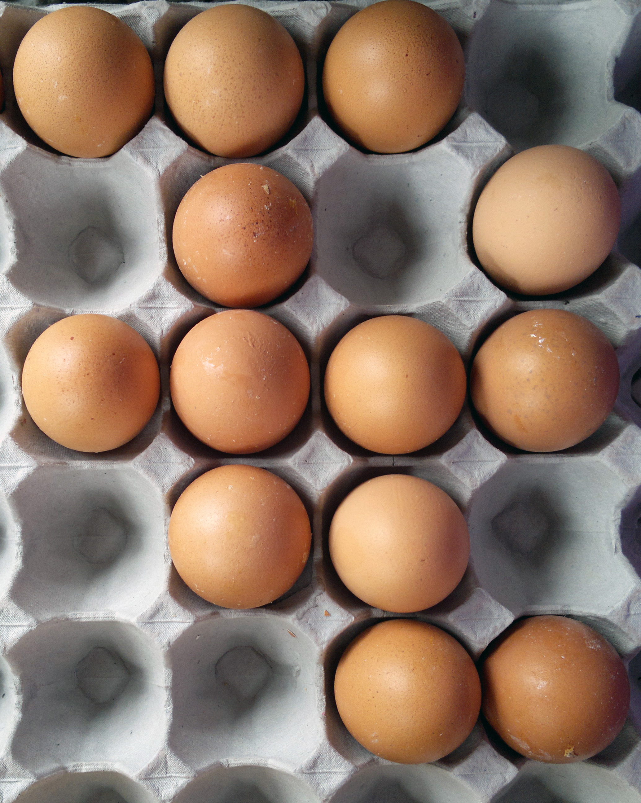 picture of chicken eggs